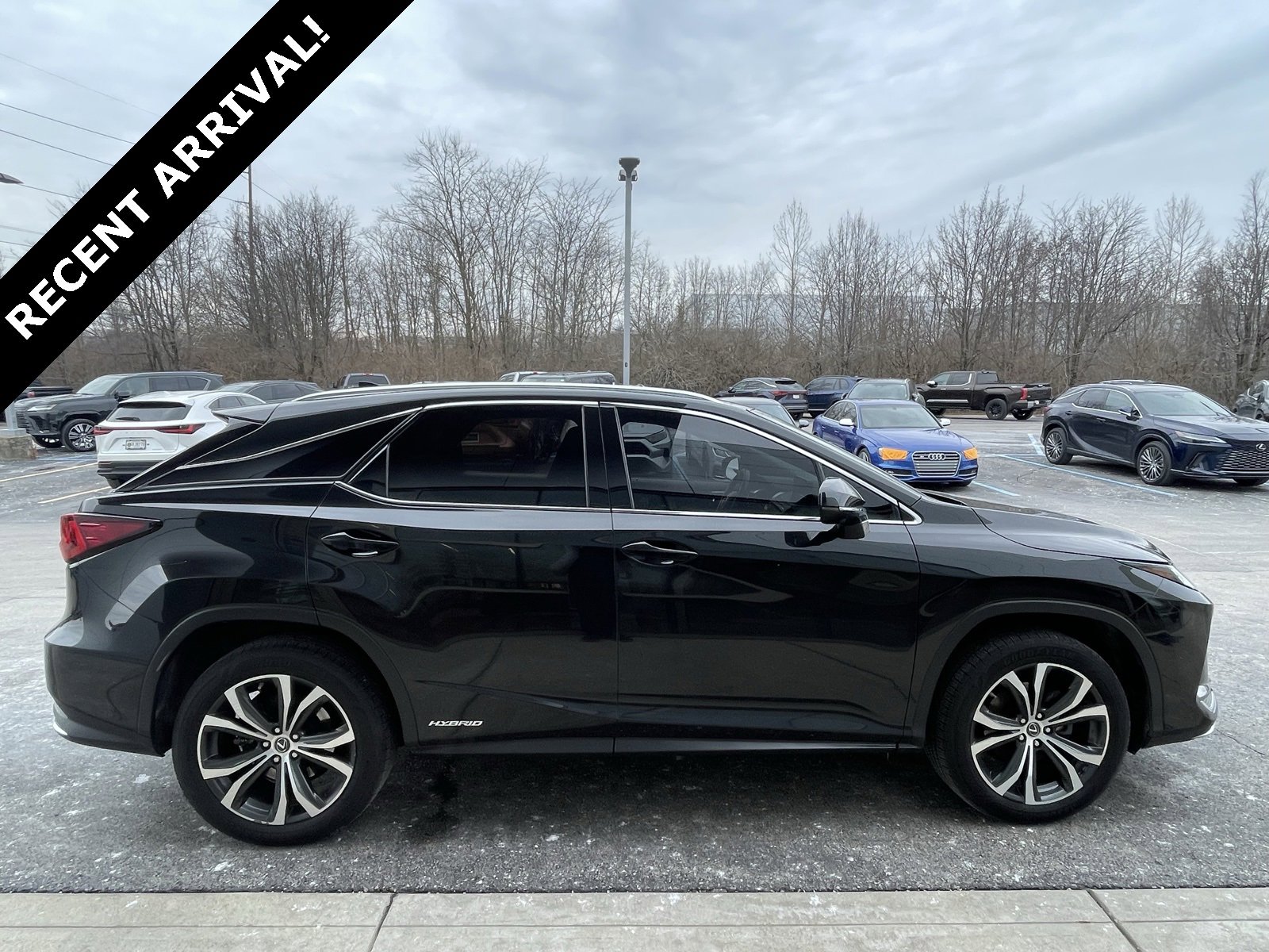 2020 Lexus RX Hybrid 450h's photo