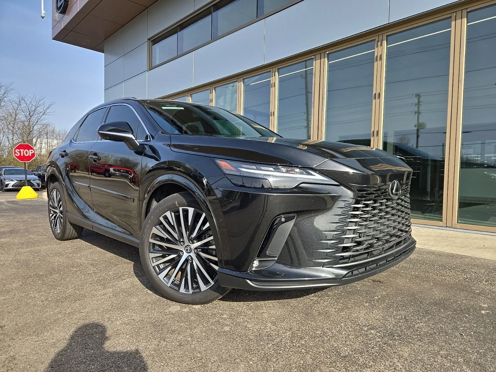 2024 Lexus RX 350 - Photo 43