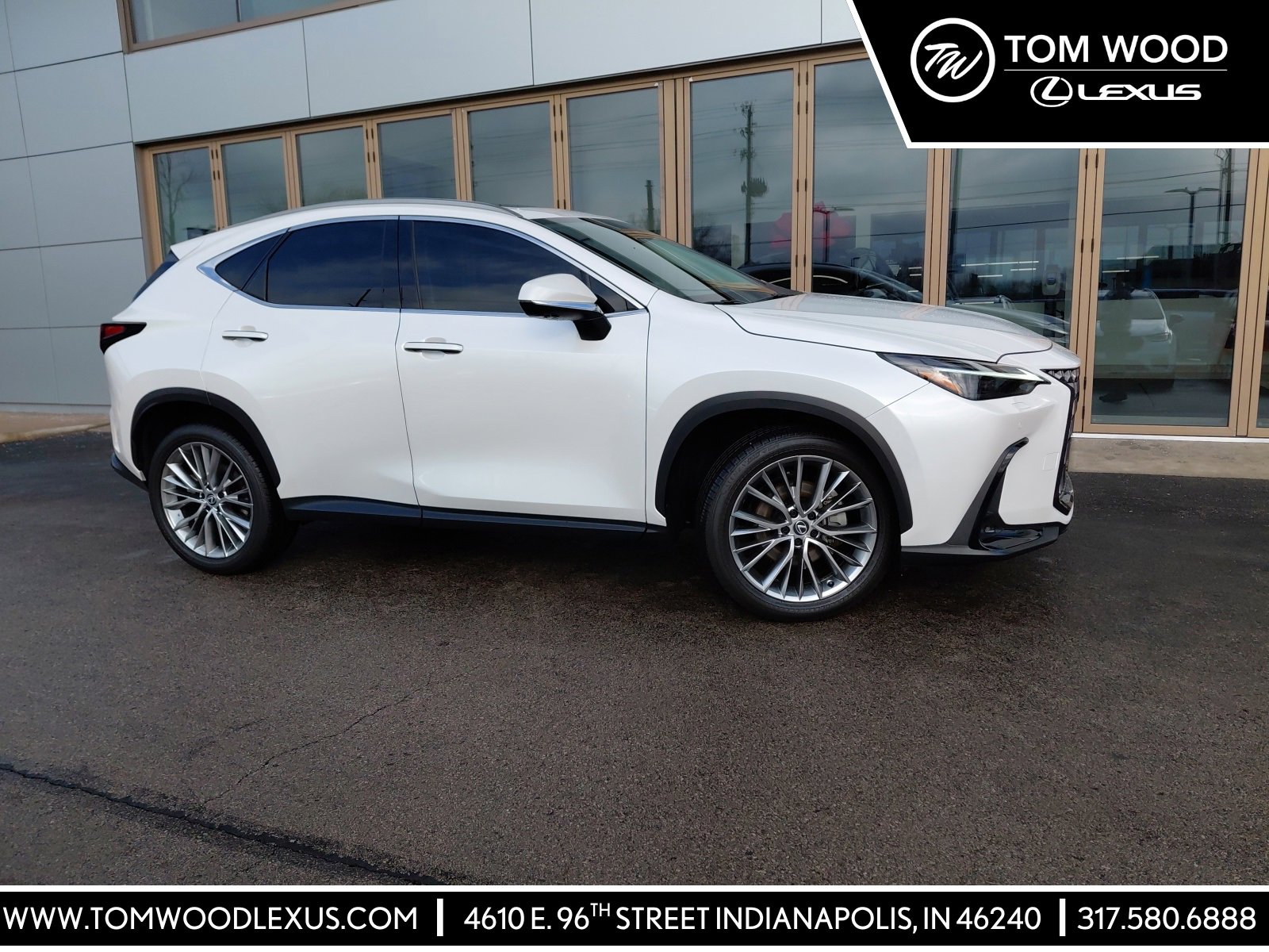 2024 Lexus NX 350's photo