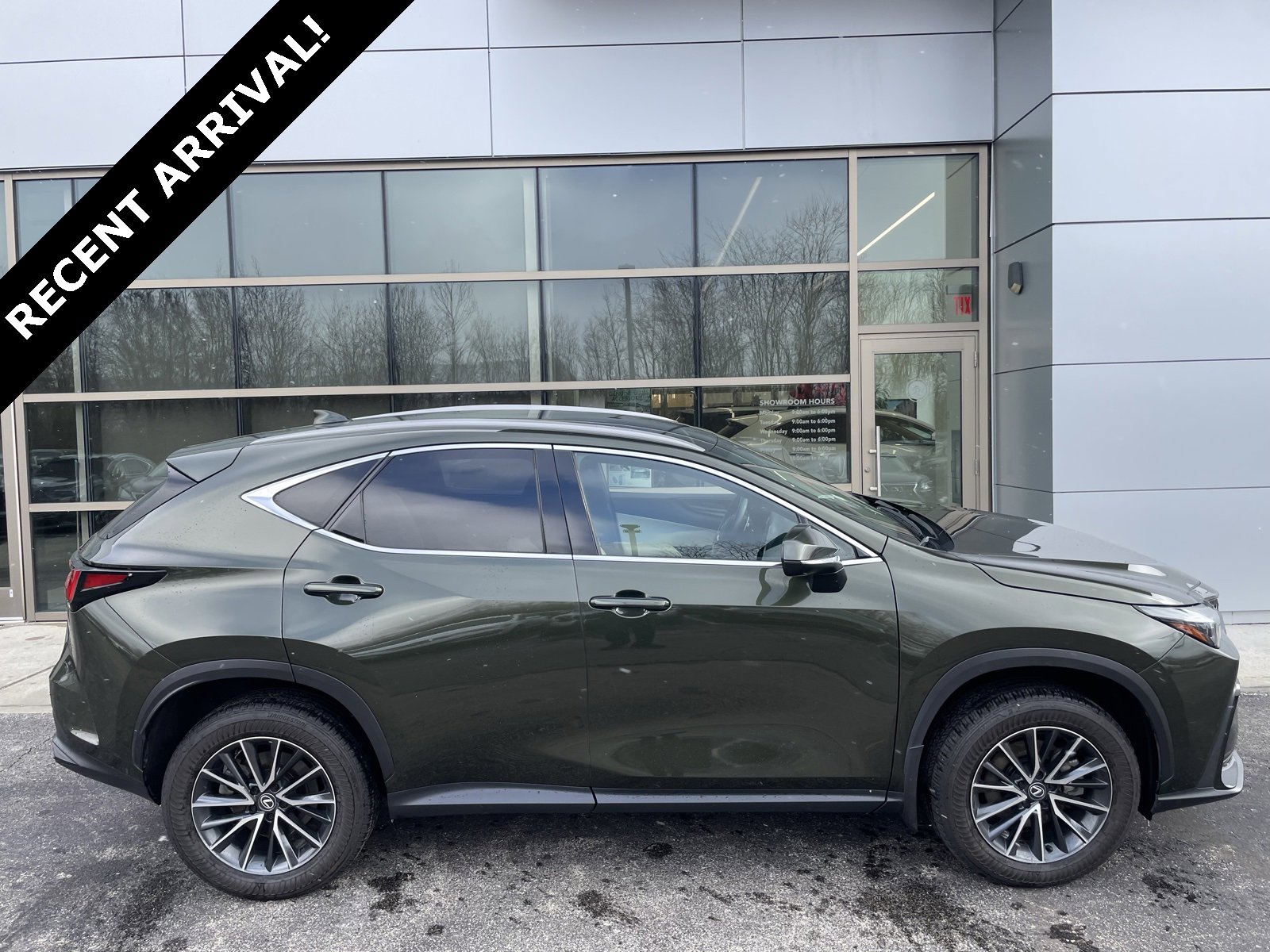 2024 Lexus NX Hybrid 350h's photo