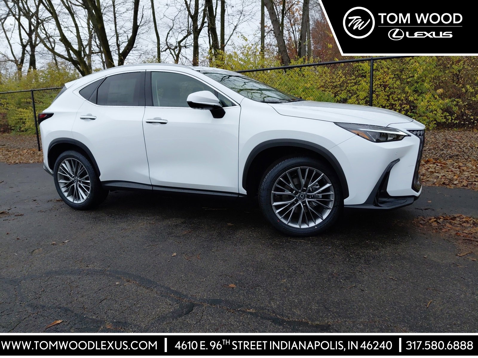 2026 Lexus NX 350's photo
