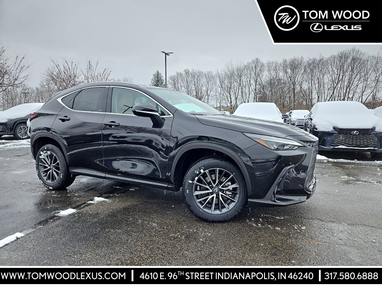 2026 Lexus NX 350's photo