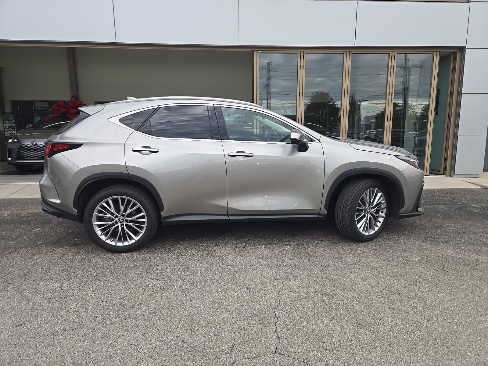 2025 Lexus NX
