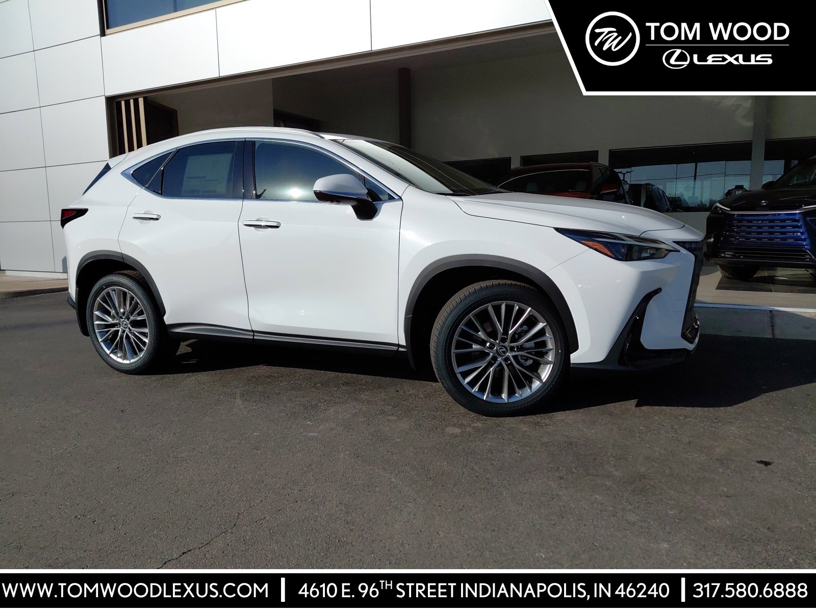 2026 Lexus NX 350's photo