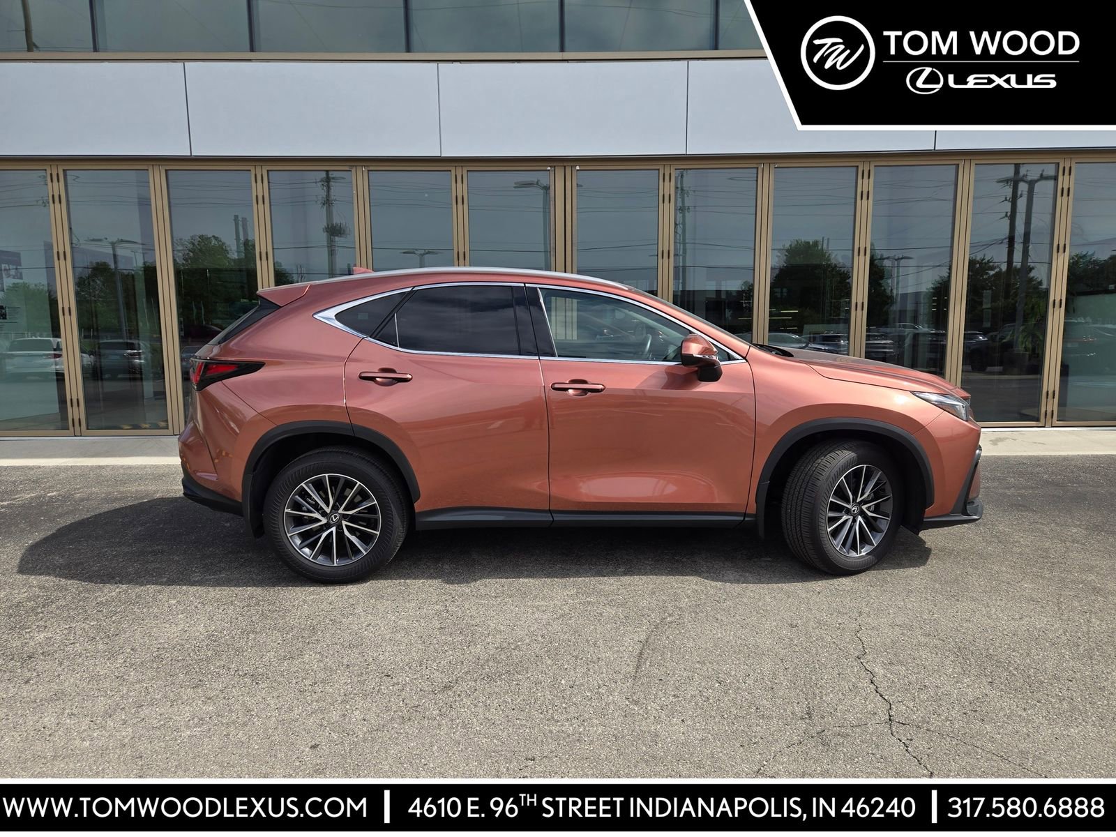 2025 Lexus NX 350 350 AWD's photo