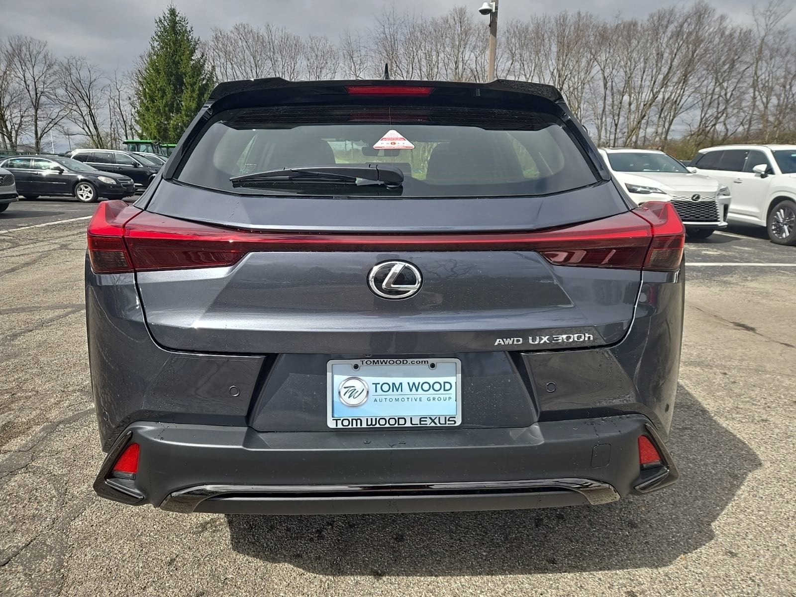 2026 Lexus UX Hybrid 300h F Sport Design - Photo 12