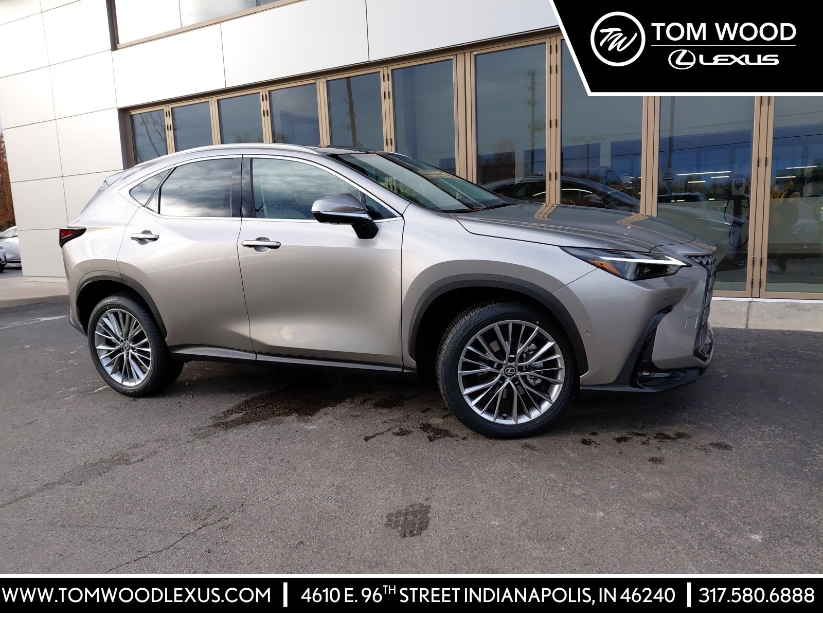 2026 Lexus NX 350's photo