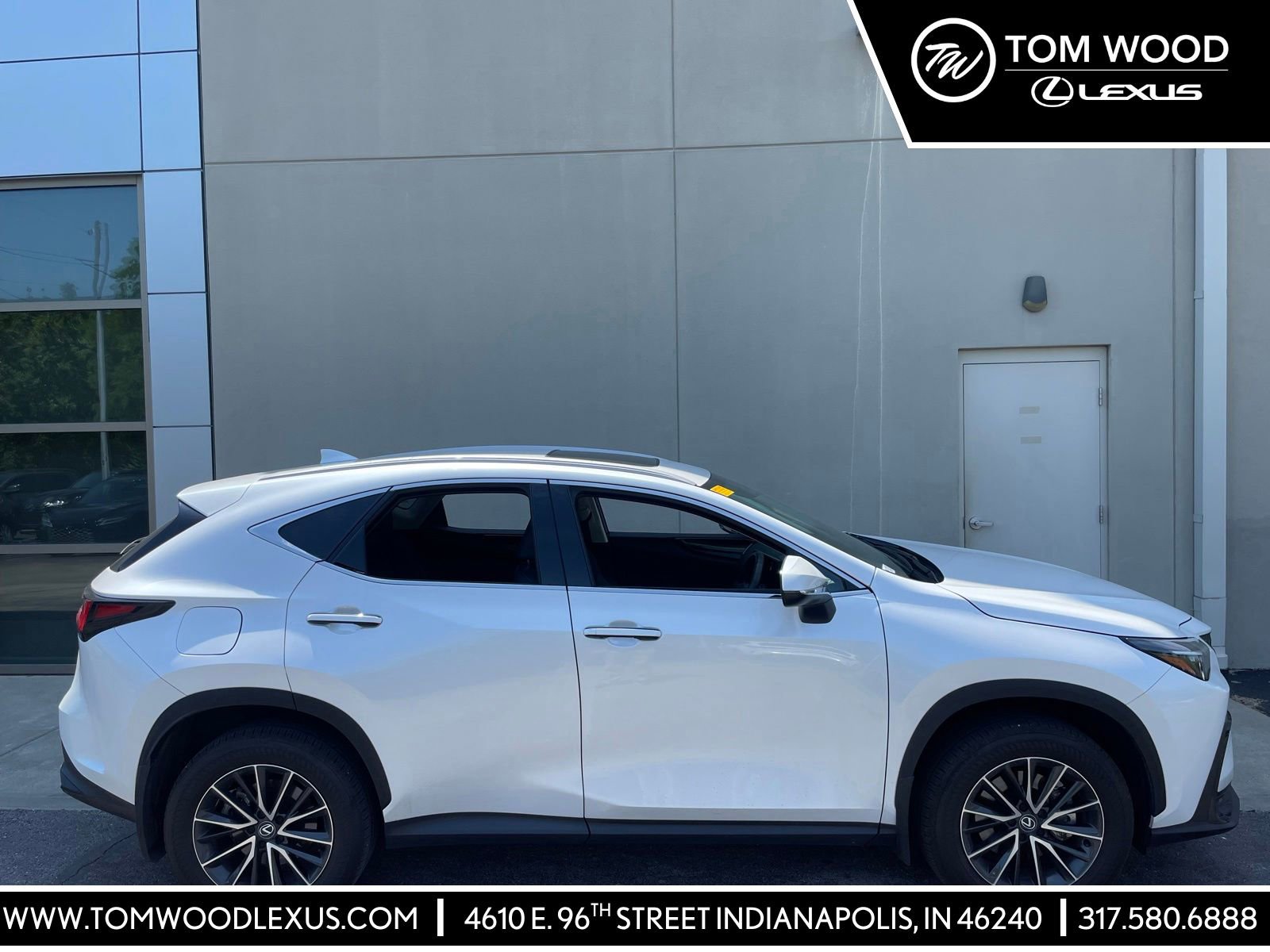 2024 Lexus NX 350h 350h AWD's photo