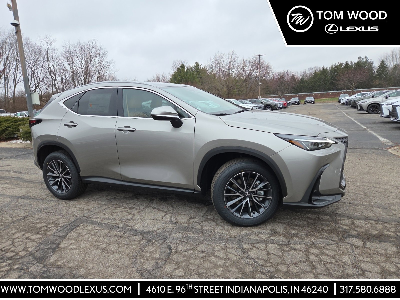 2026 Lexus NX 350's photo