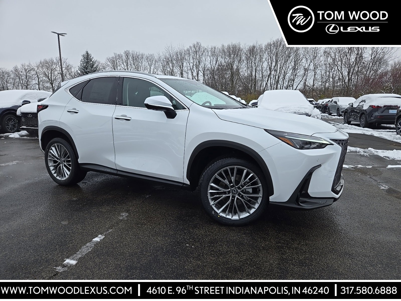 2026 Lexus NX 350's photo