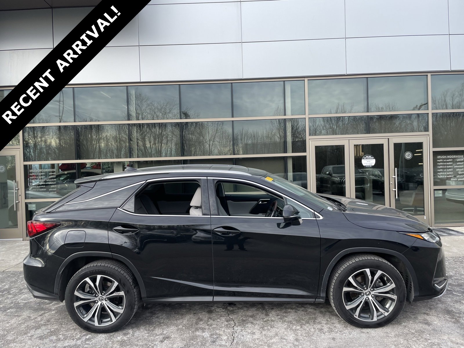 2021 Lexus RX 350's photo