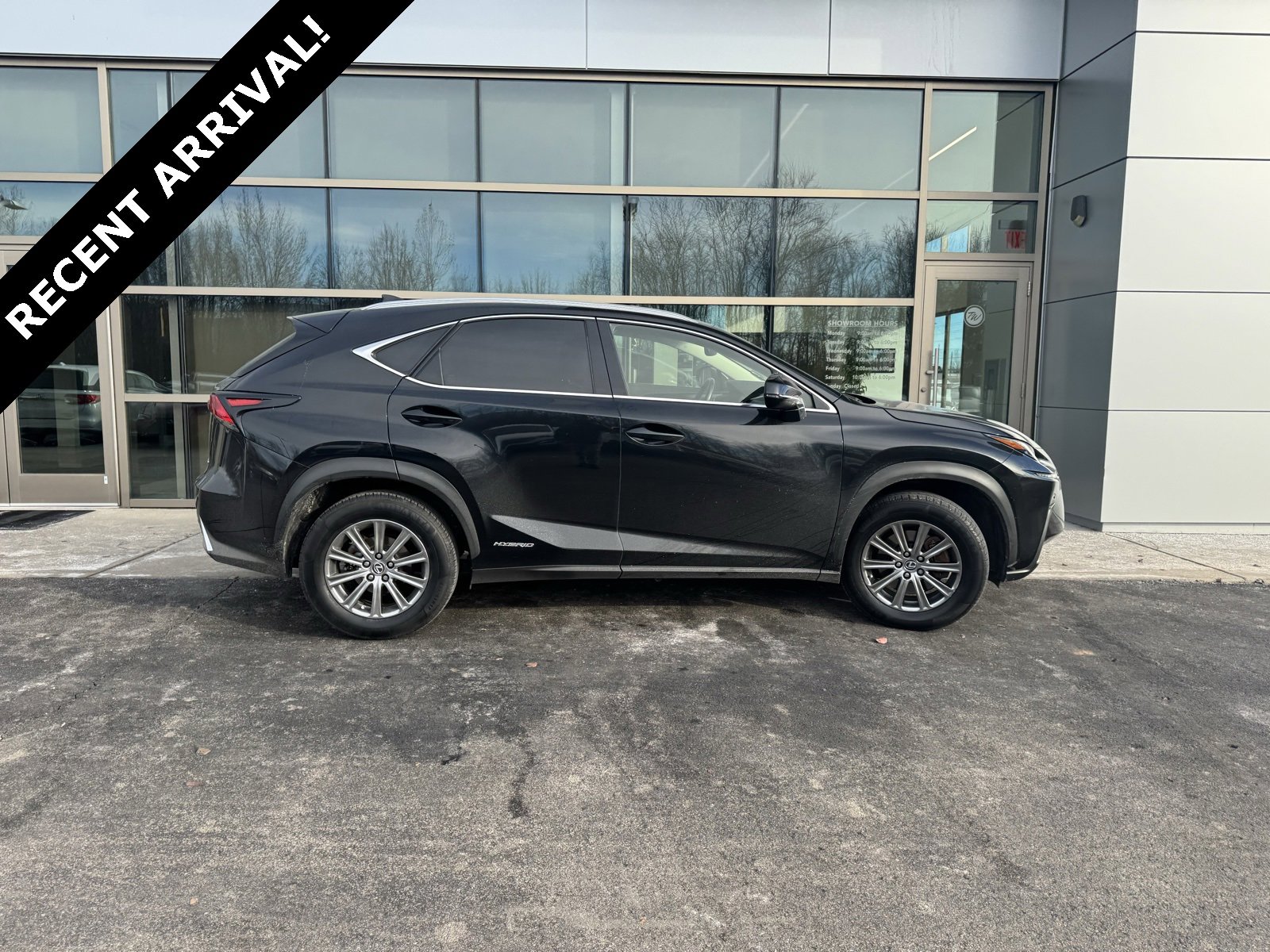 2018 Lexus NX 300h's photo