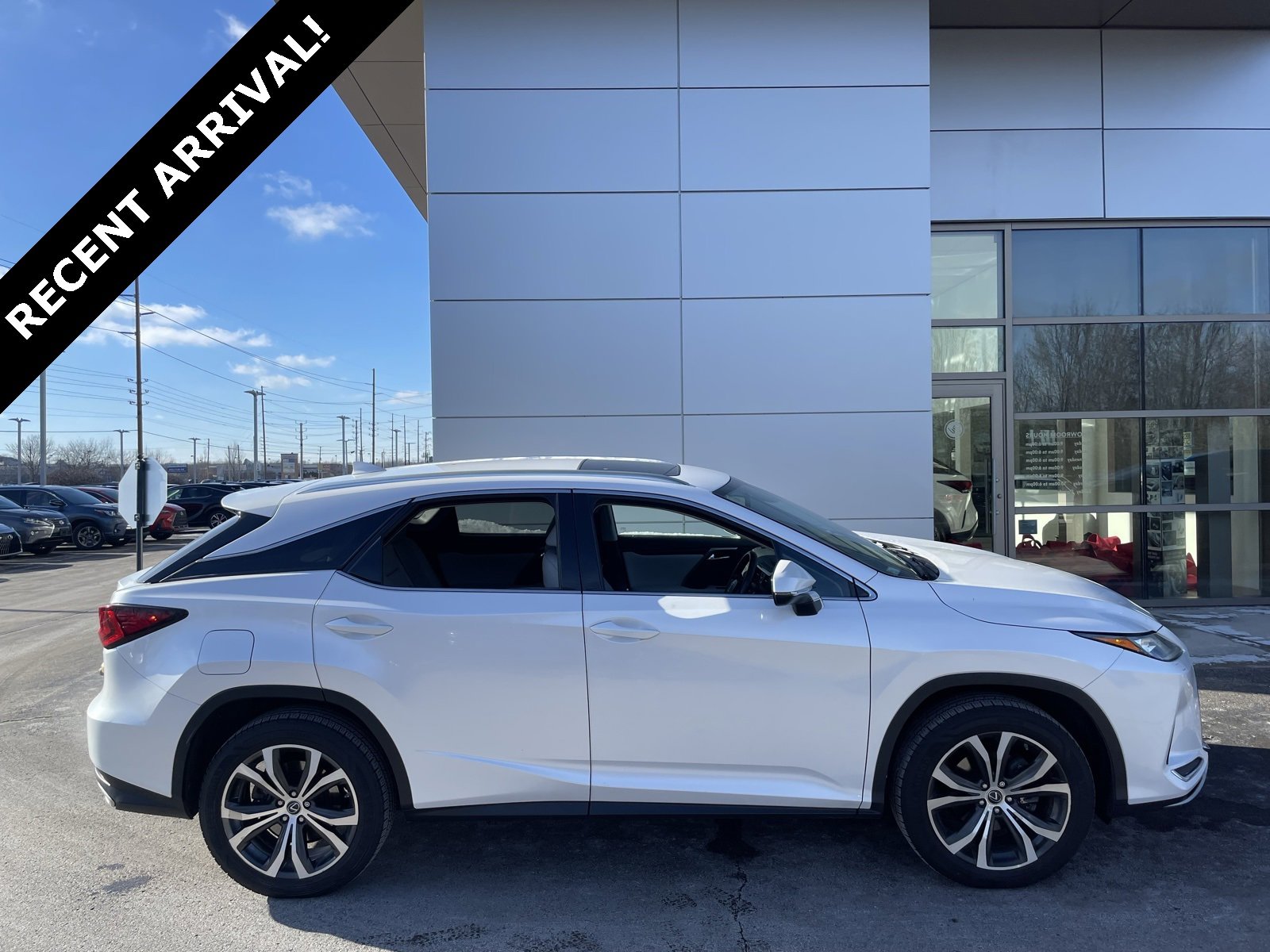 2021 Lexus RX 350's photo