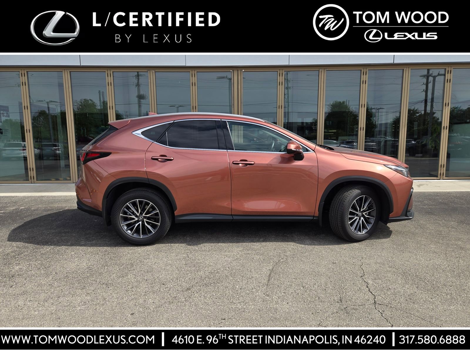 2025 Lexus NX 350 350 AWD's photo