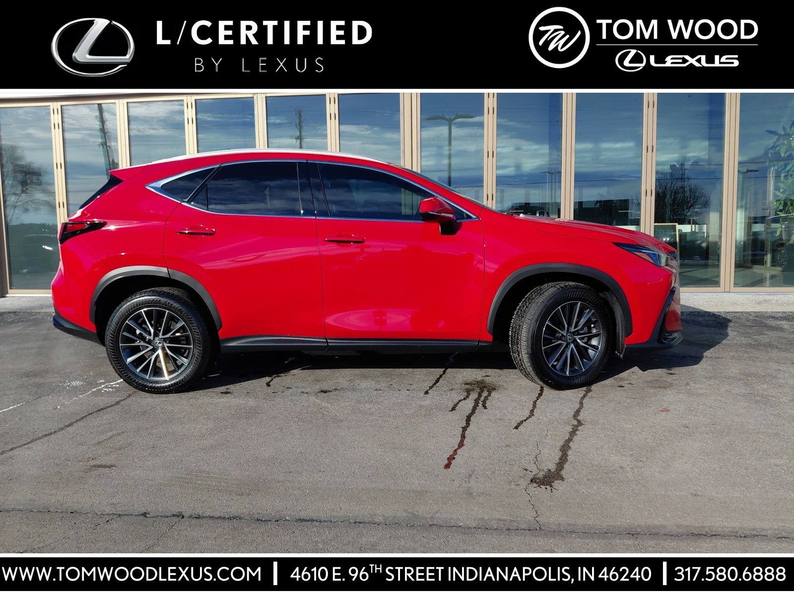 2025 Lexus NX 350's photo