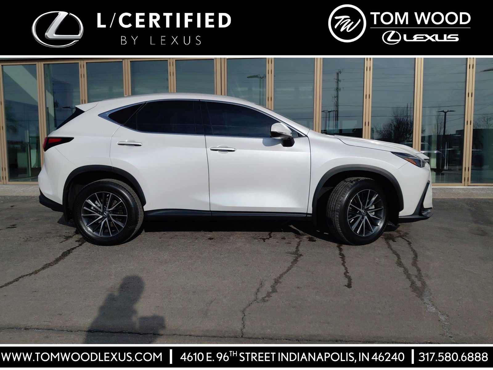 2023 Lexus NX 350's photo