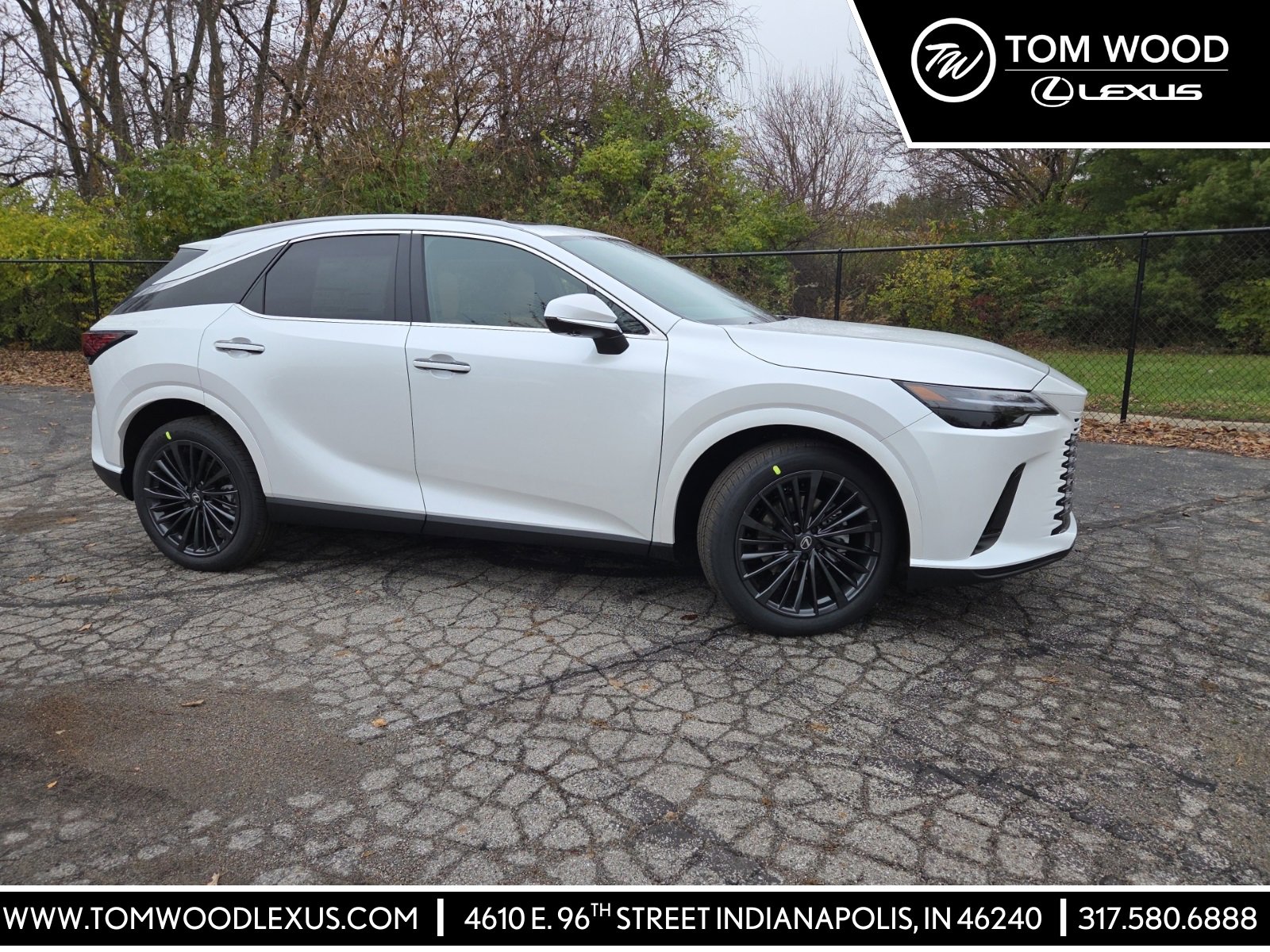 2026 Lexus RX Hybrid 350h's photo