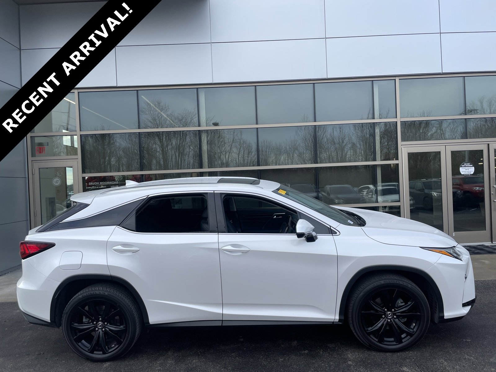 2019 Lexus RX 350's photo
