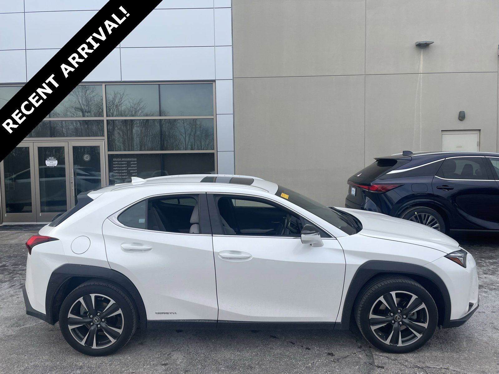2021 Lexus UX Hybrid 250h's photo