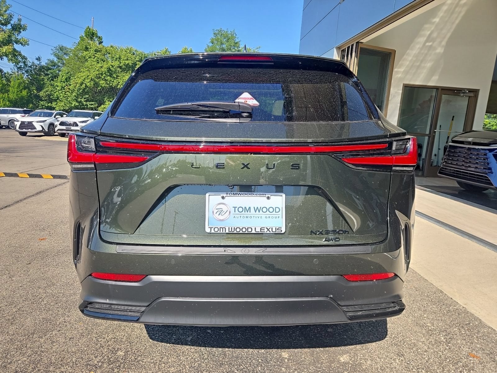 Photo 13