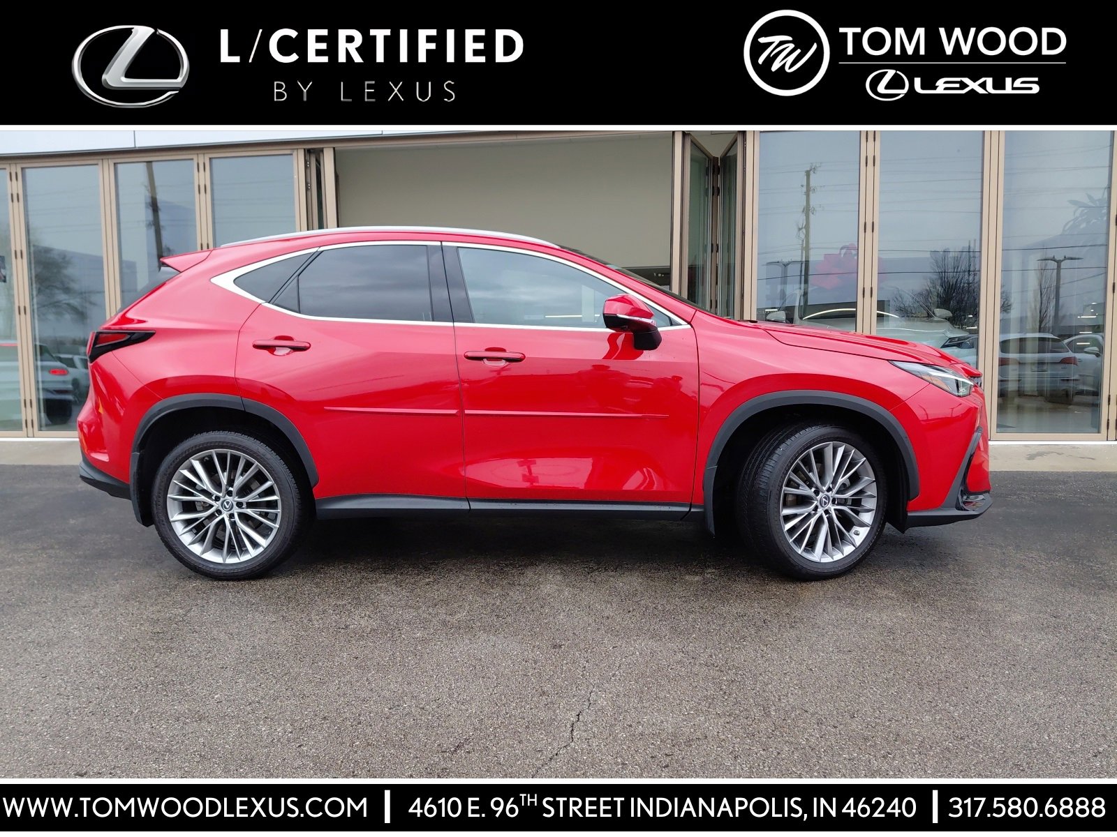 2023 Lexus NX 350's photo