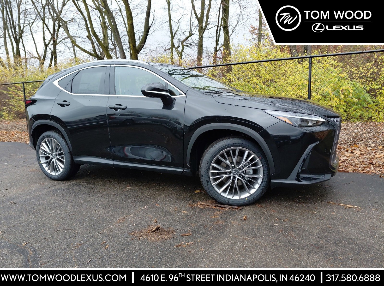2026 Lexus NX 350's photo