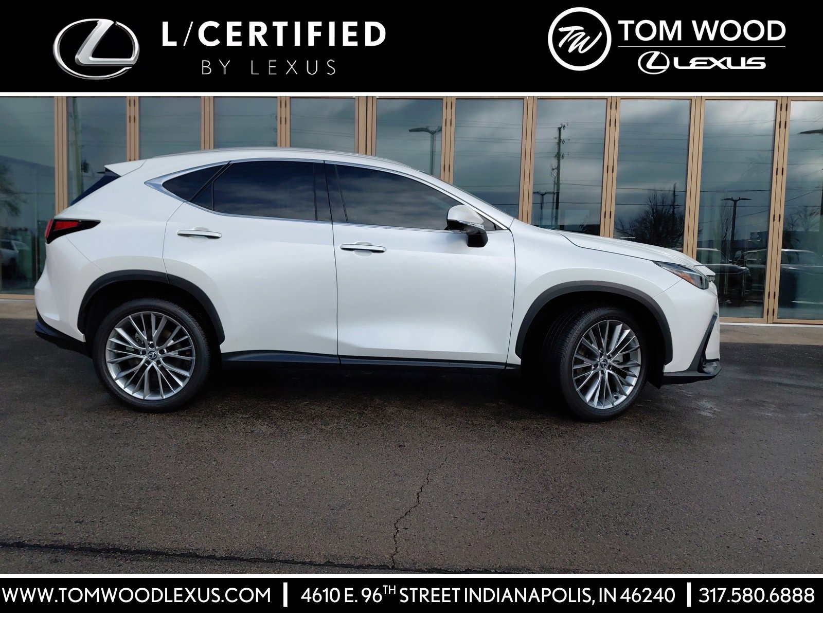 2024 Lexus NX 350's photo