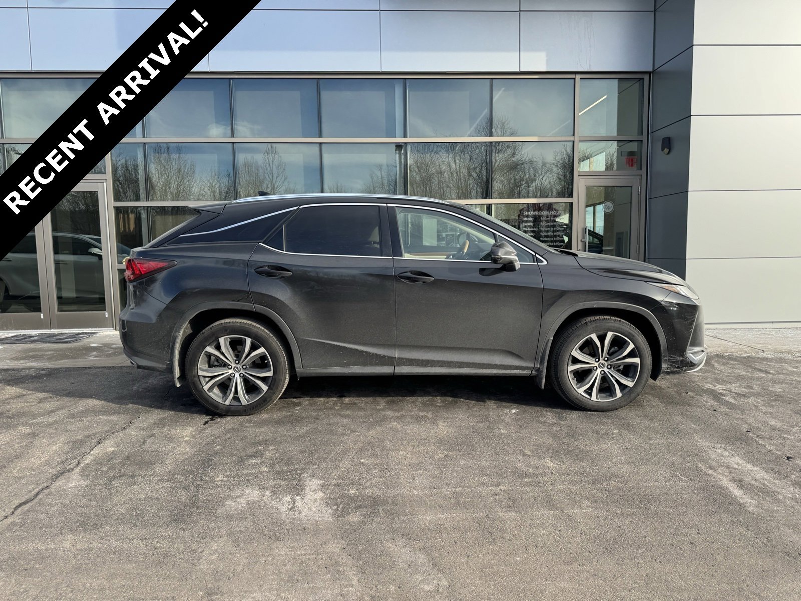 2022 Lexus RX 350's photo