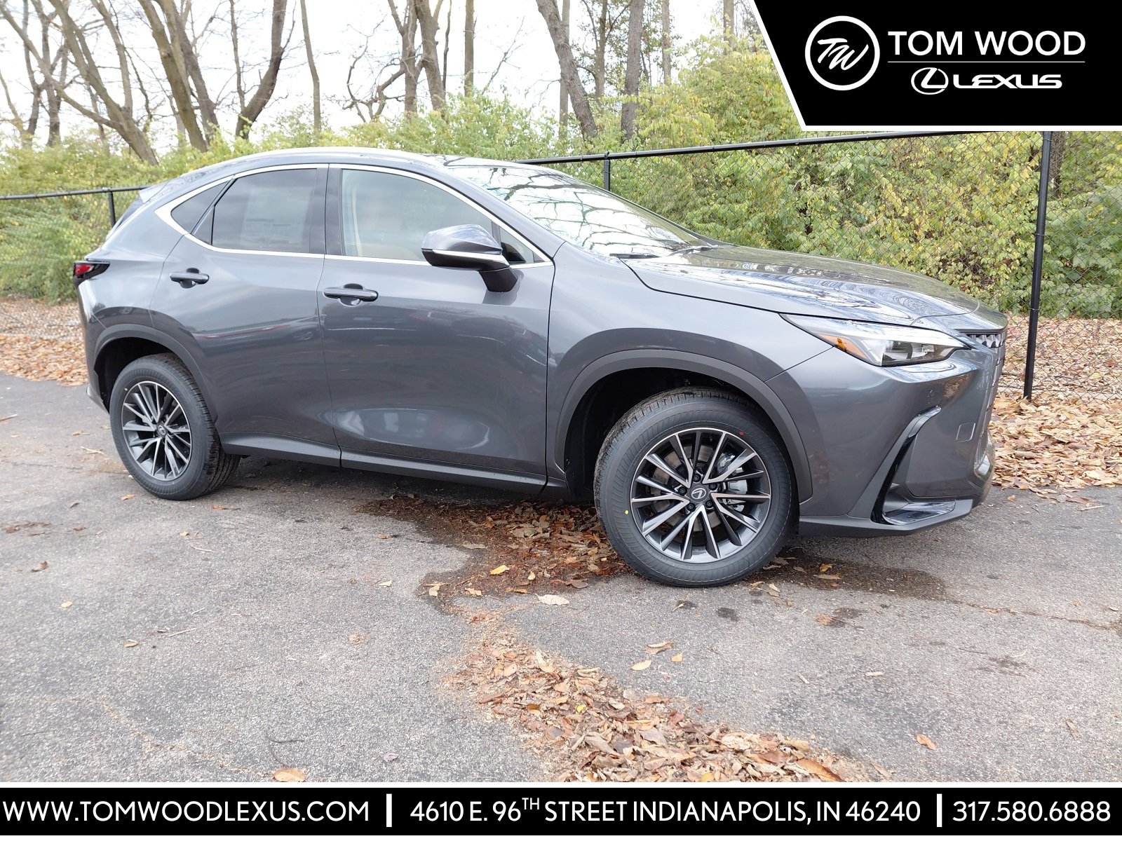 2026 Lexus NX 350's photo