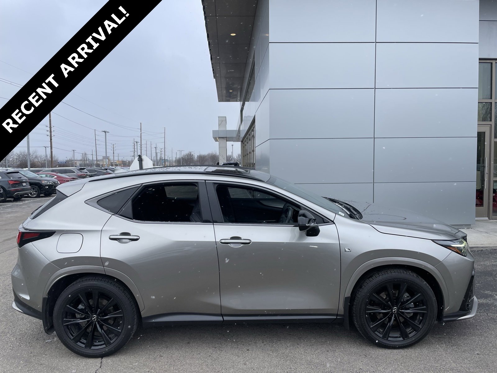 2023 Lexus NX 350's photo