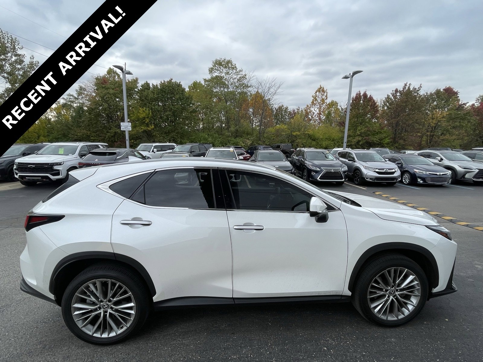 2024 Lexus NX 350's photo