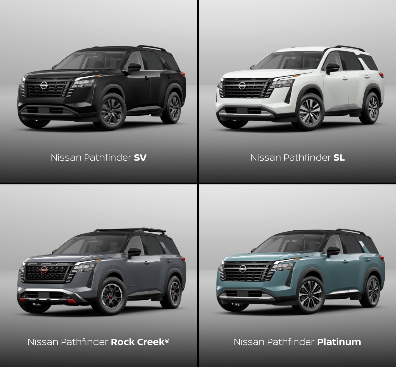 Nissan Pathfinder Trim Packagesnull