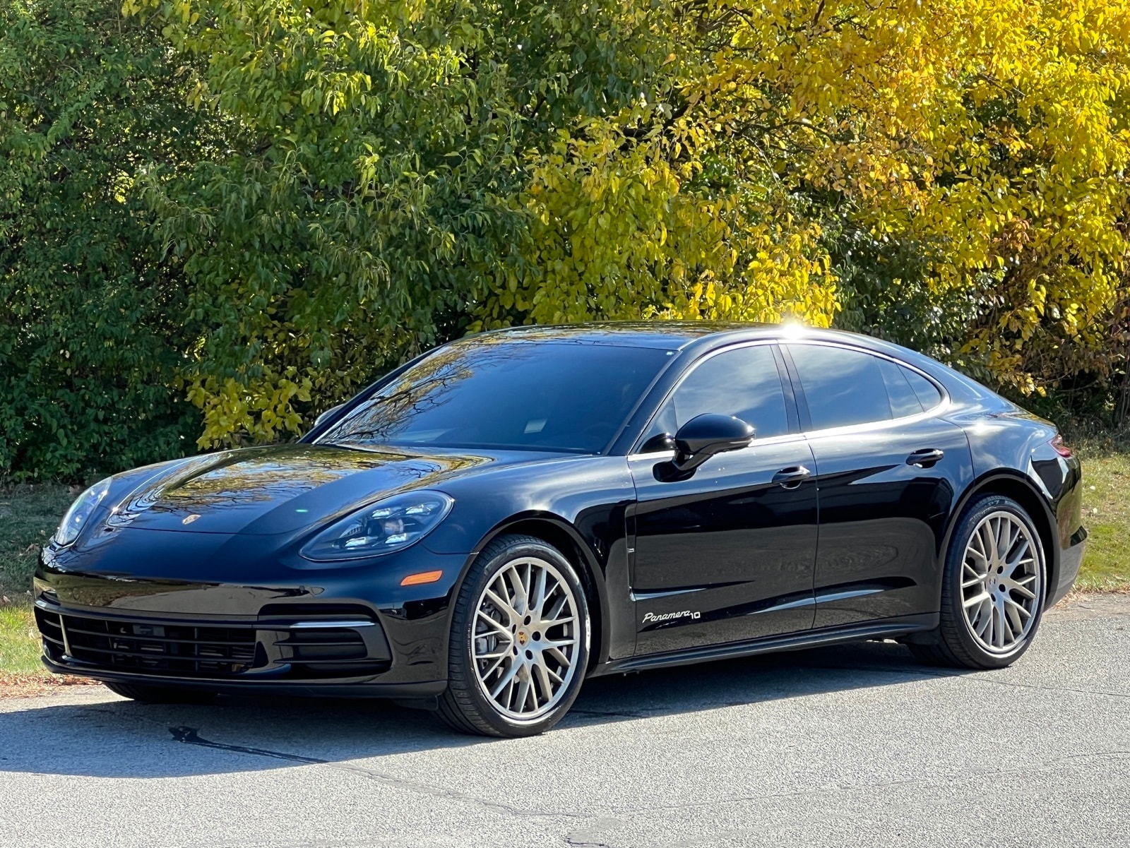 2020 Porsche Panamera 10 Year Edition's photo