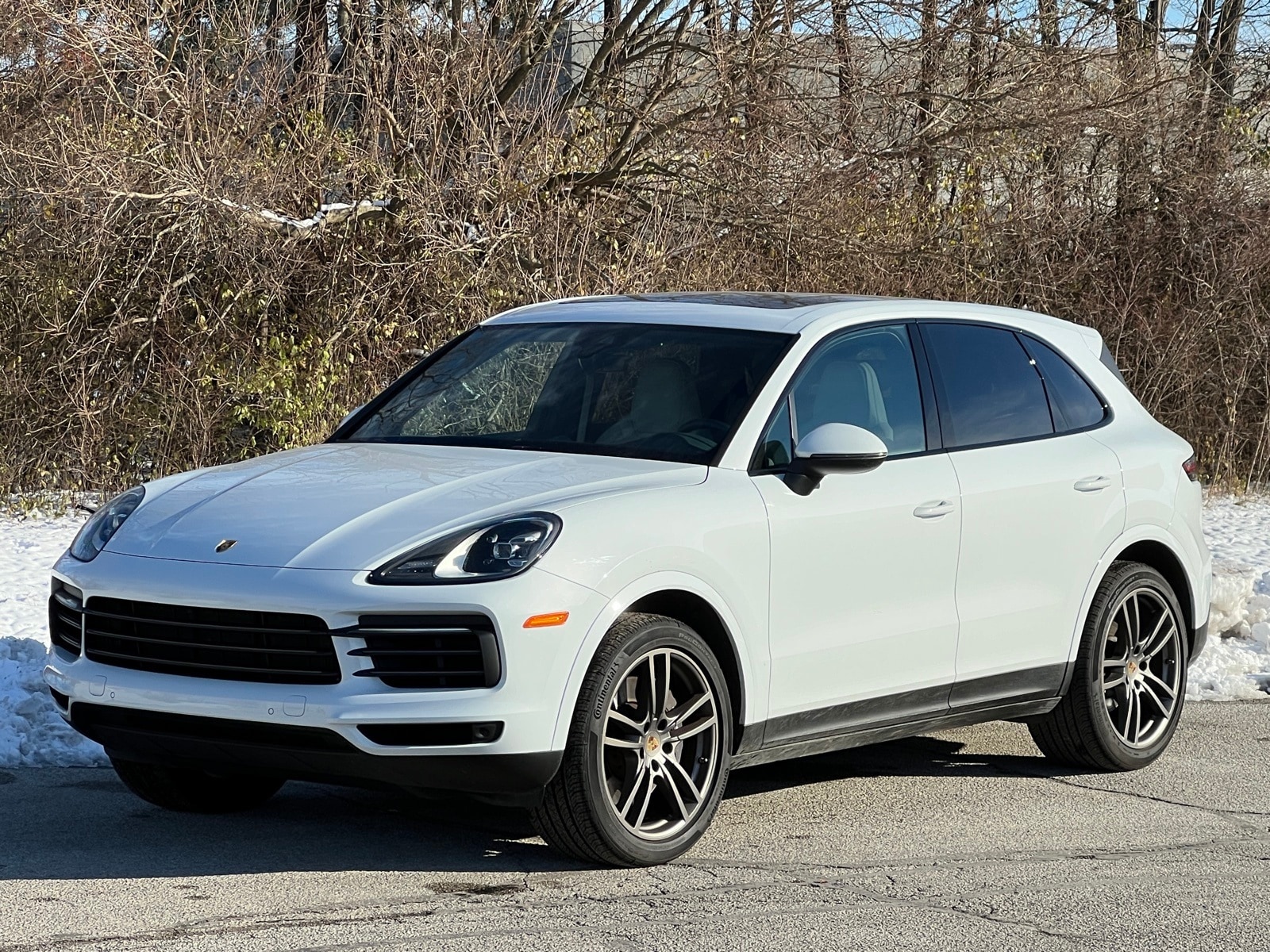 2022 Porsche Cayenne Platinum Edition's photo