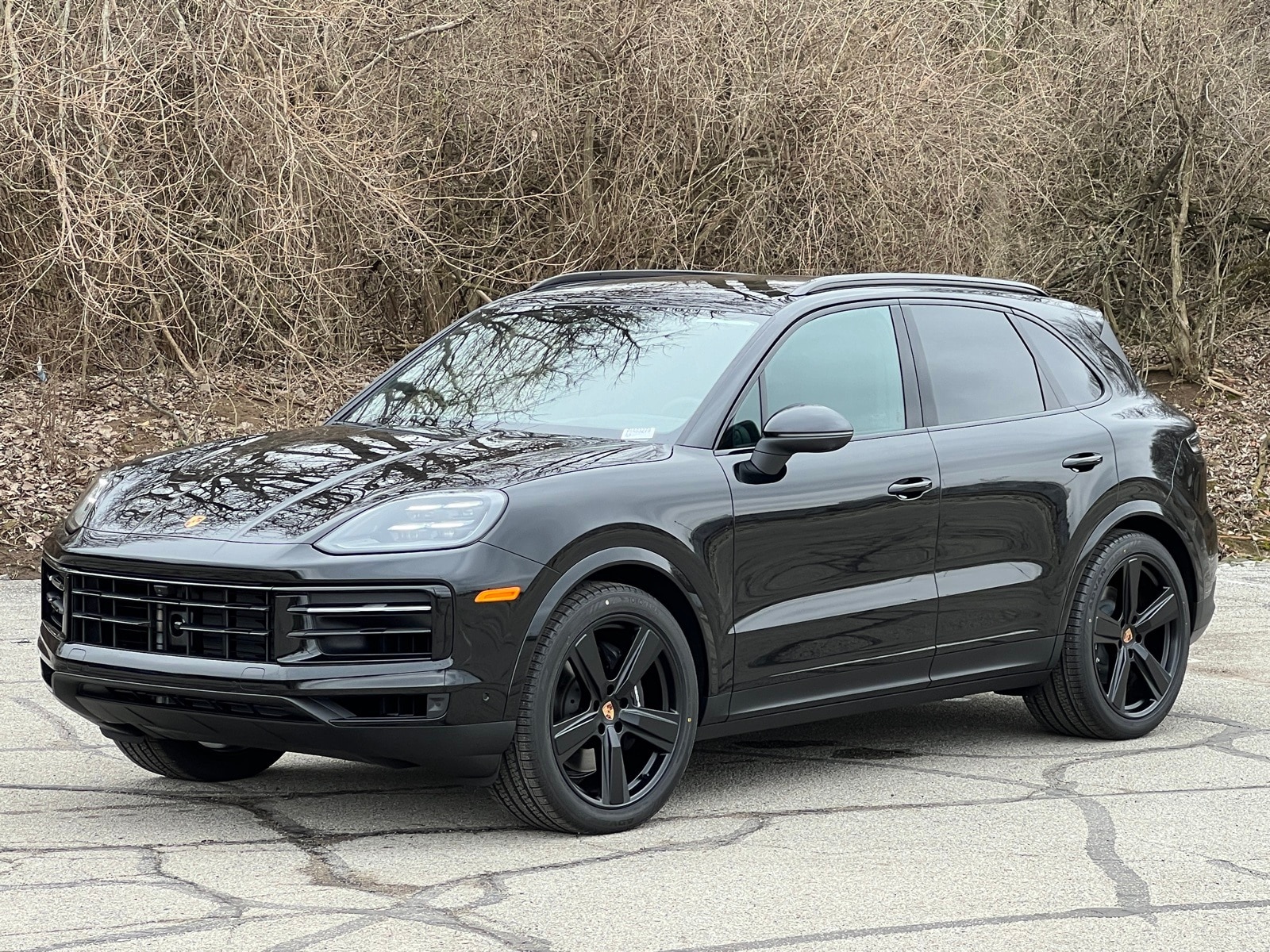 2026 Porsche Cayenne SUV image 1