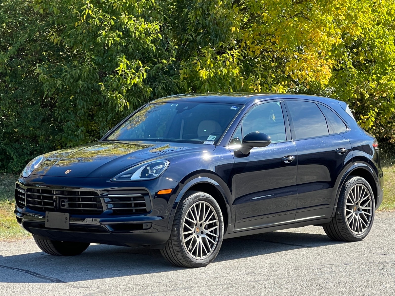 2022 Porsche Cayenne Platinum Edition