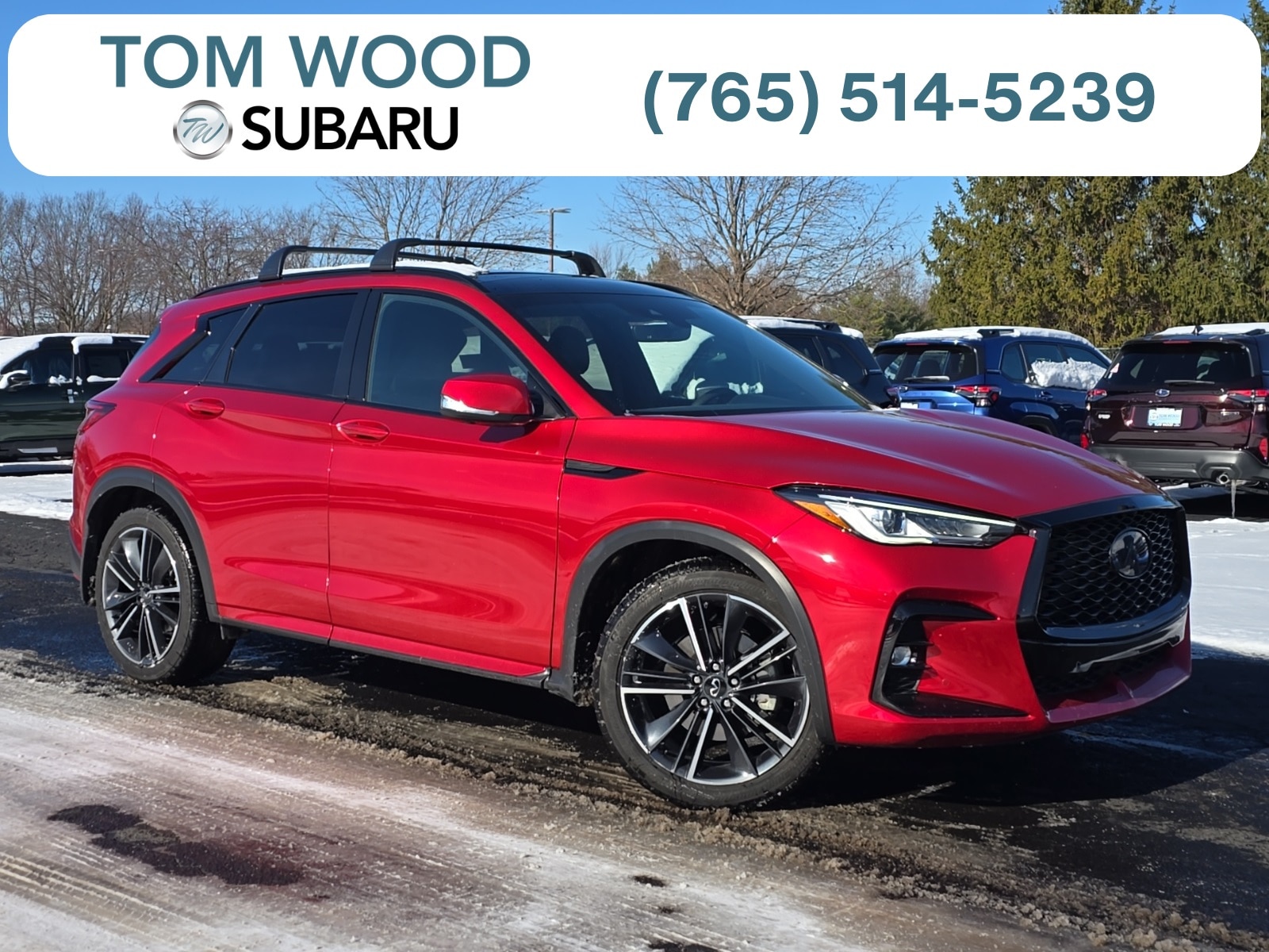 2024 INFINITI QX50 Sport's photo