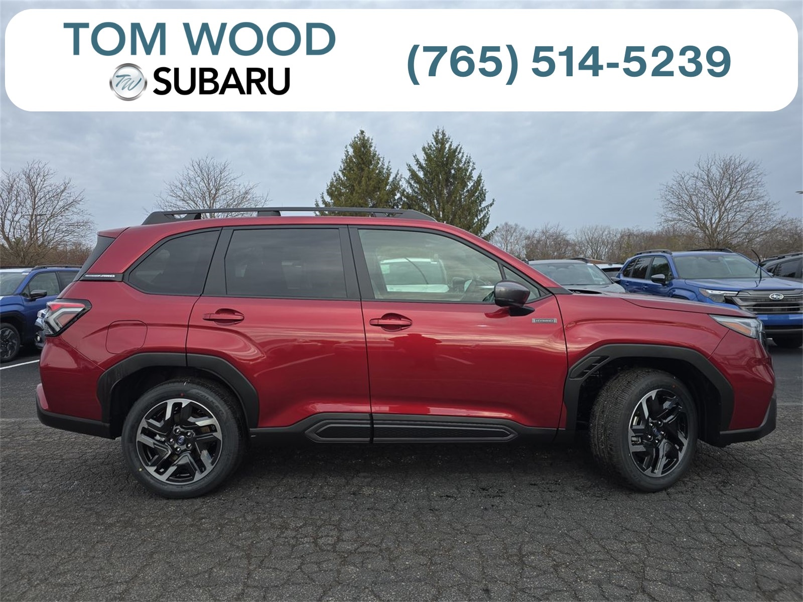 2025 Subaru Forester Limited's photo