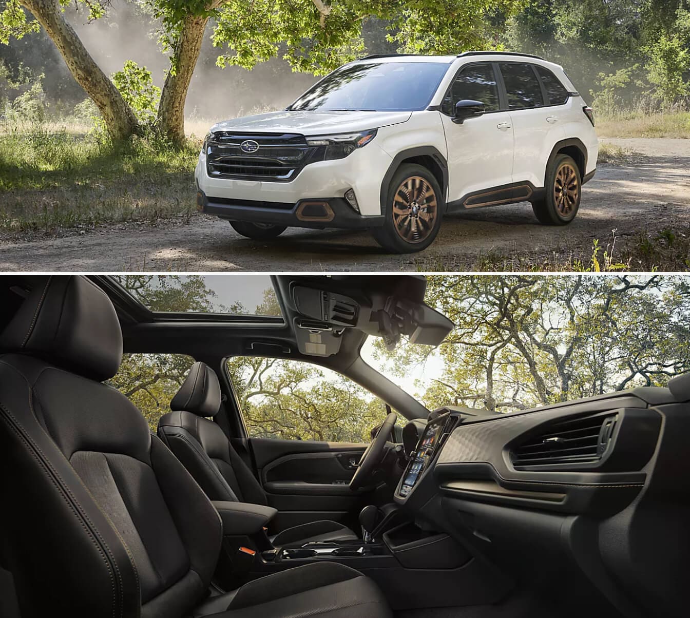 2026 Subaru Forester Size: Exterior & Interior