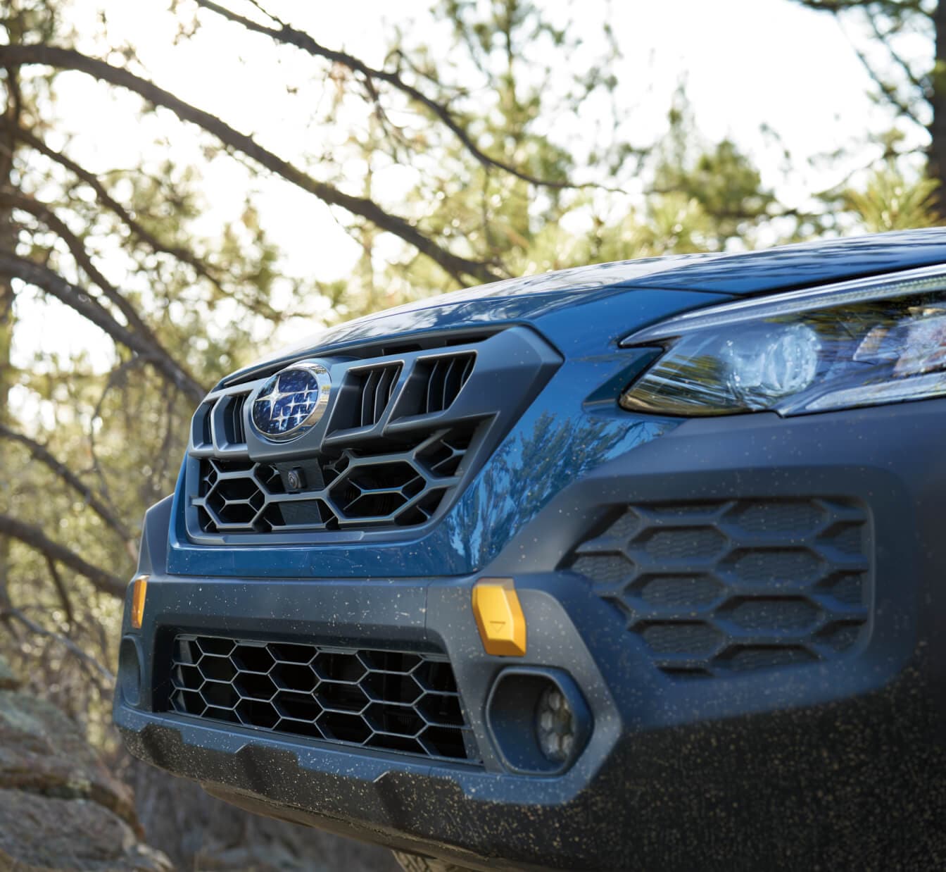 Subaru Outback Wilderness Specs Colors, Interior, Features