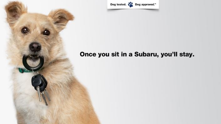 Subaru Sit Stay.JPG