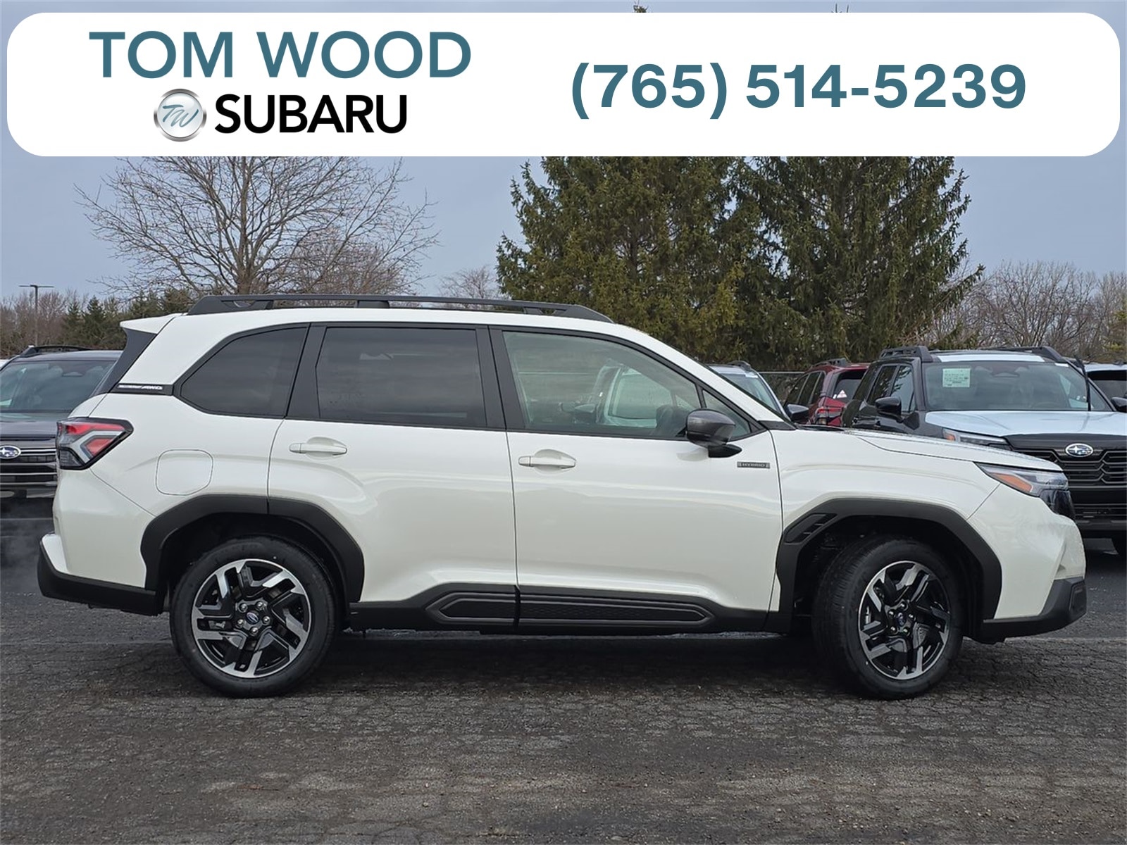 2025 Subaru Forester Limited's photo