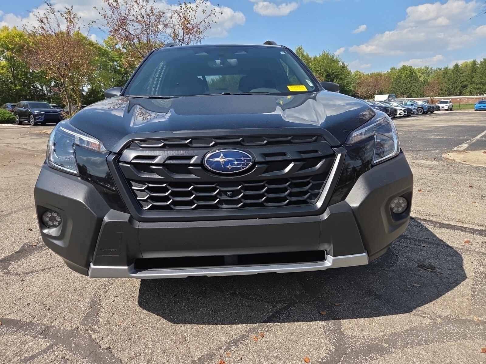 2023 Subaru Forester Wilderness photo 4
