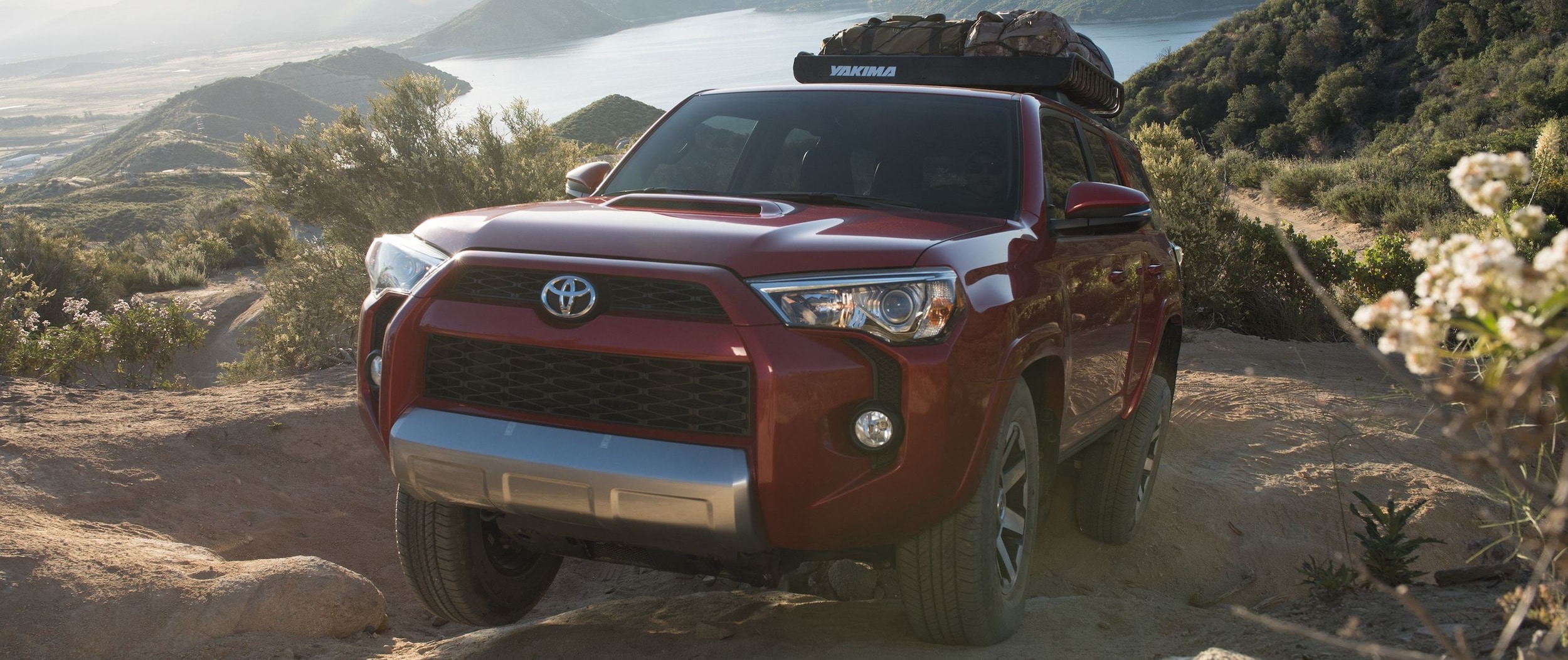 Toyota 4Runner 2019 at Tom Wood Toyota