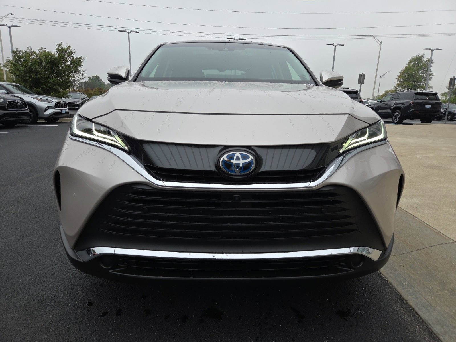 2021 Toyota Venza Limited photo 4