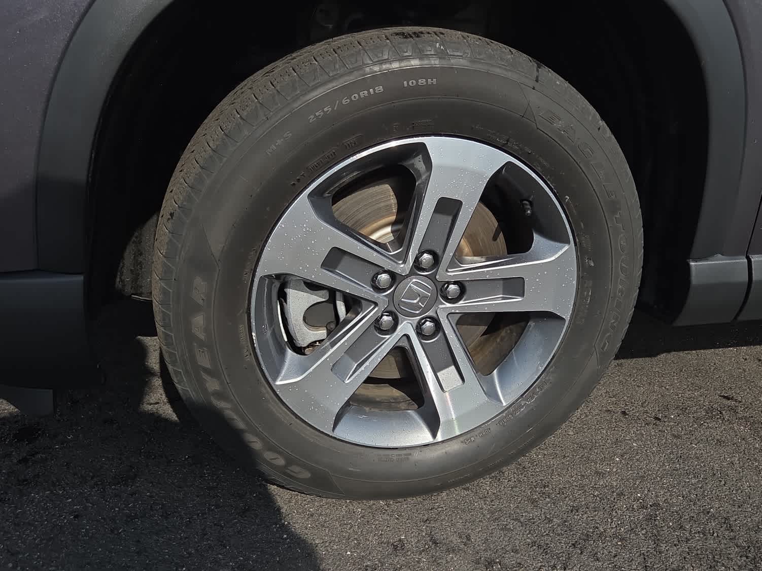 2025 Honda Pilot EX-L - Photo 16