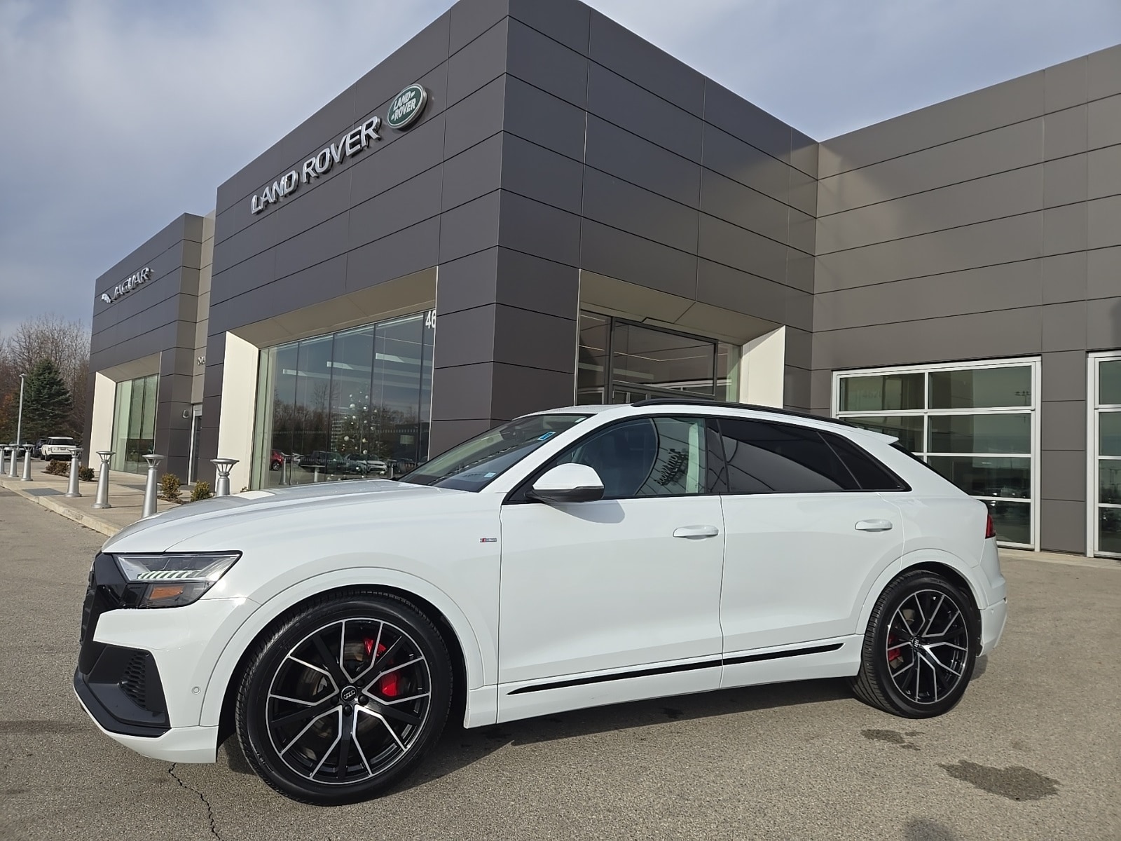 2020 Audi Q8 Prestige's photo