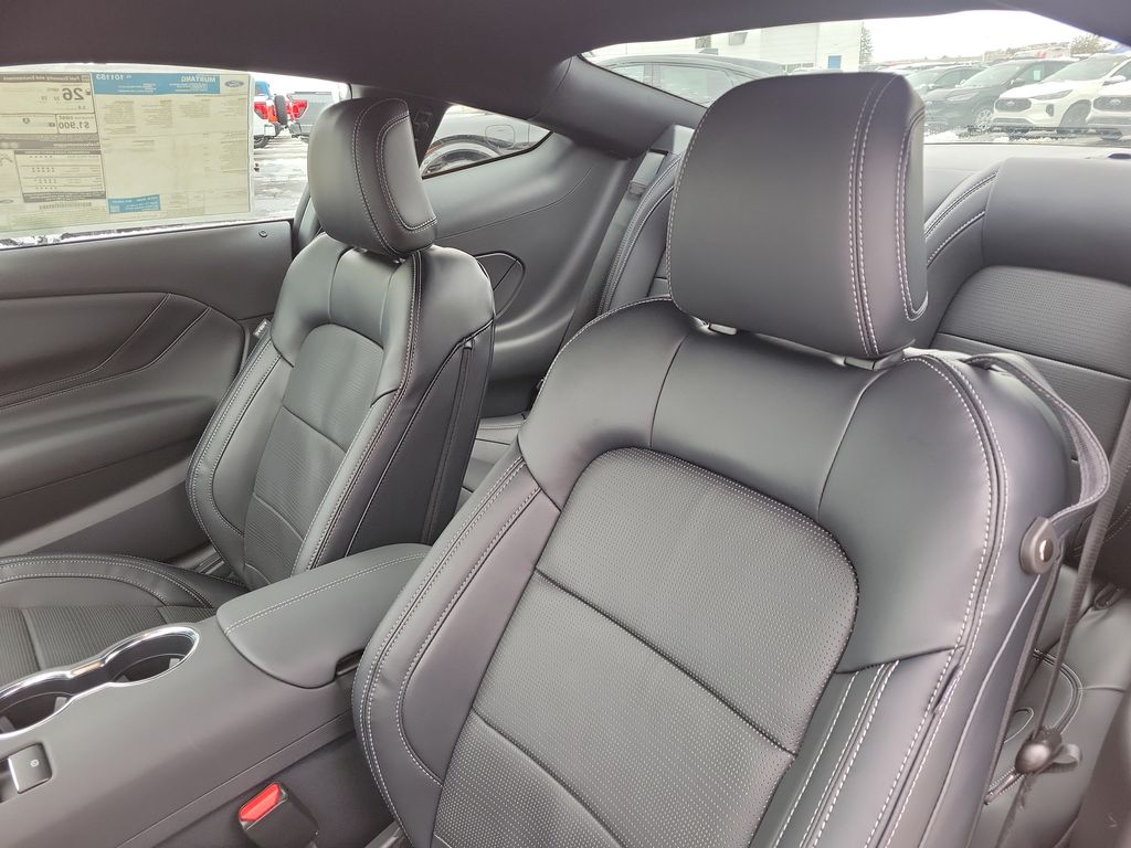 2026 Ford Mustang EcoBoost Premium Fastback - Photo 15