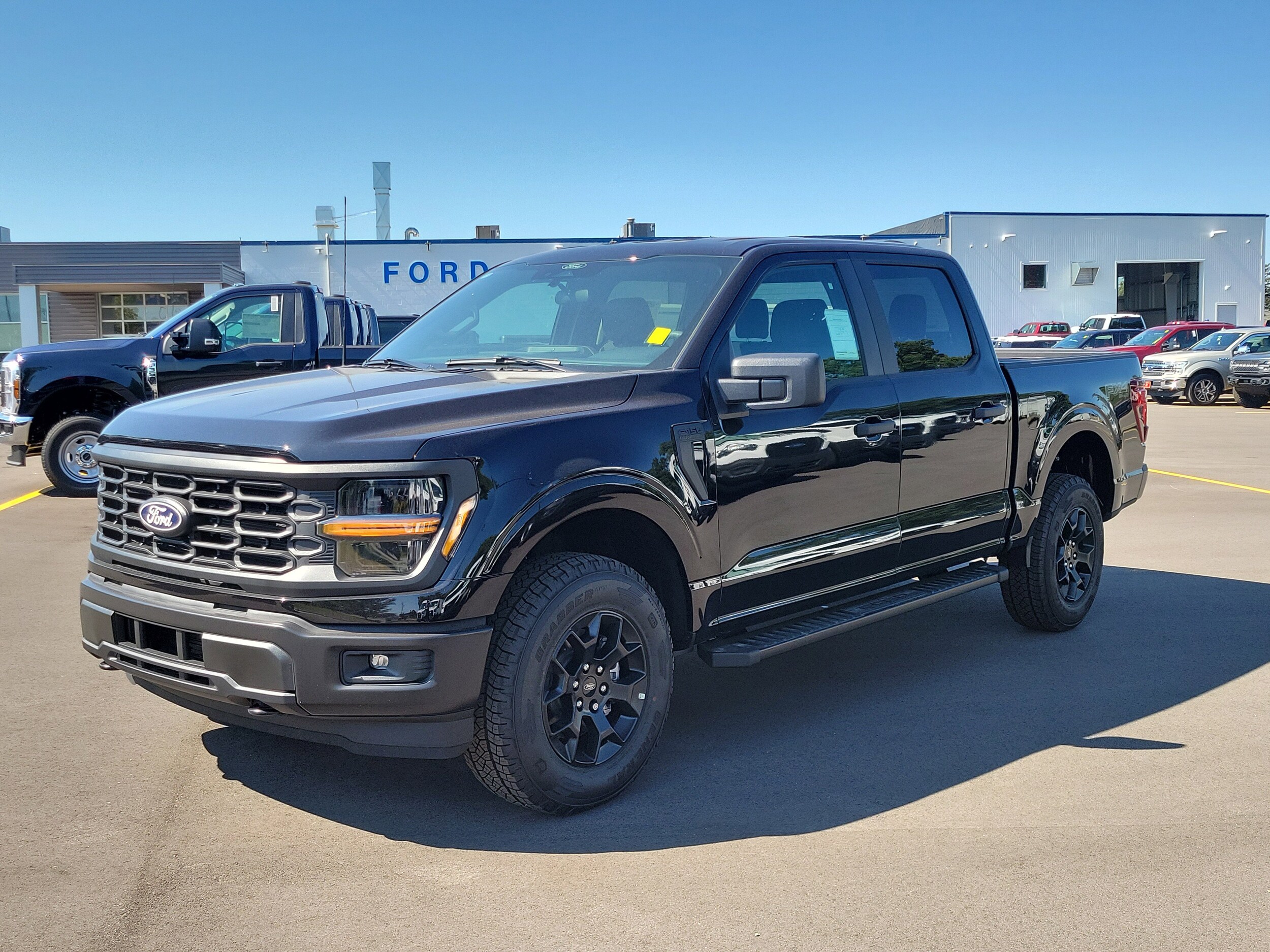2025 Ford F-150 STX FX4 photo 2