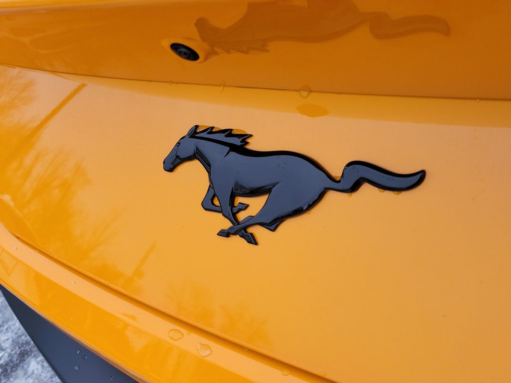 2026 Ford Mustang EcoBoost Premium Fastback - Photo 6